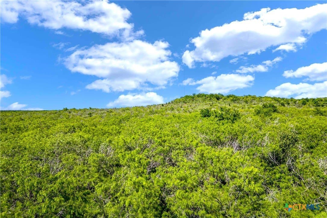 88 acres in McLennan County - photo 21