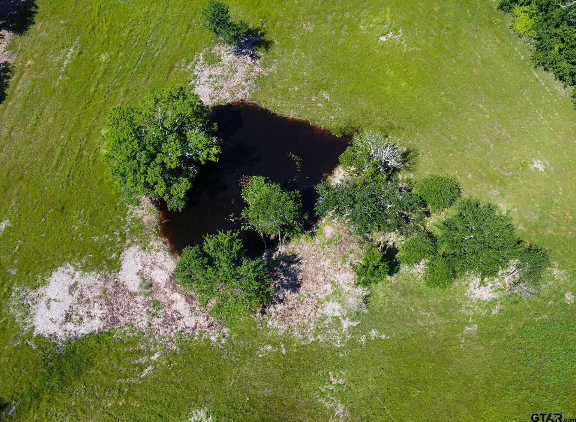 22.5 acres in Van Zandt County - photo 6