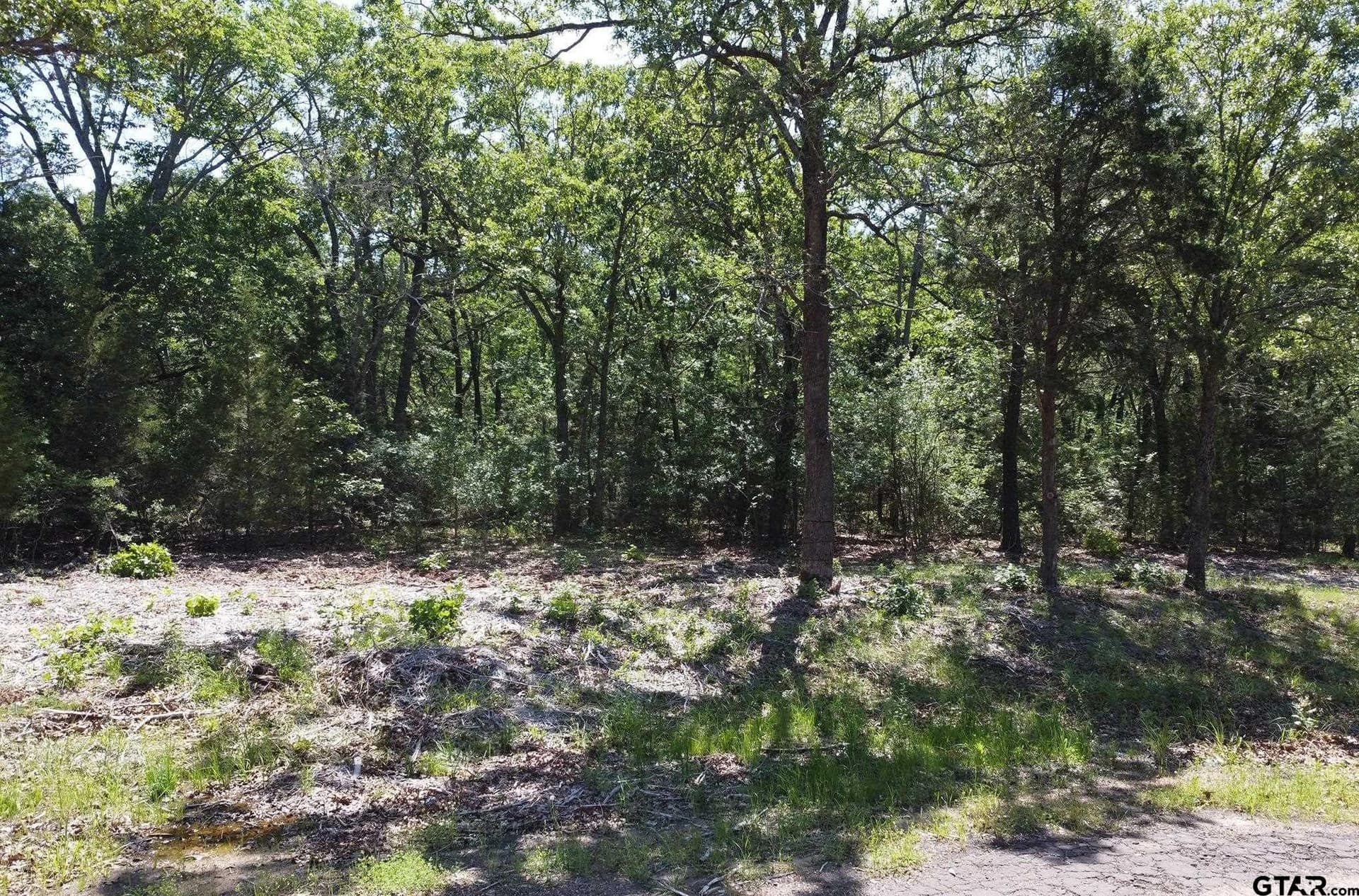 22.5 acres in Van Zandt County - photo 14