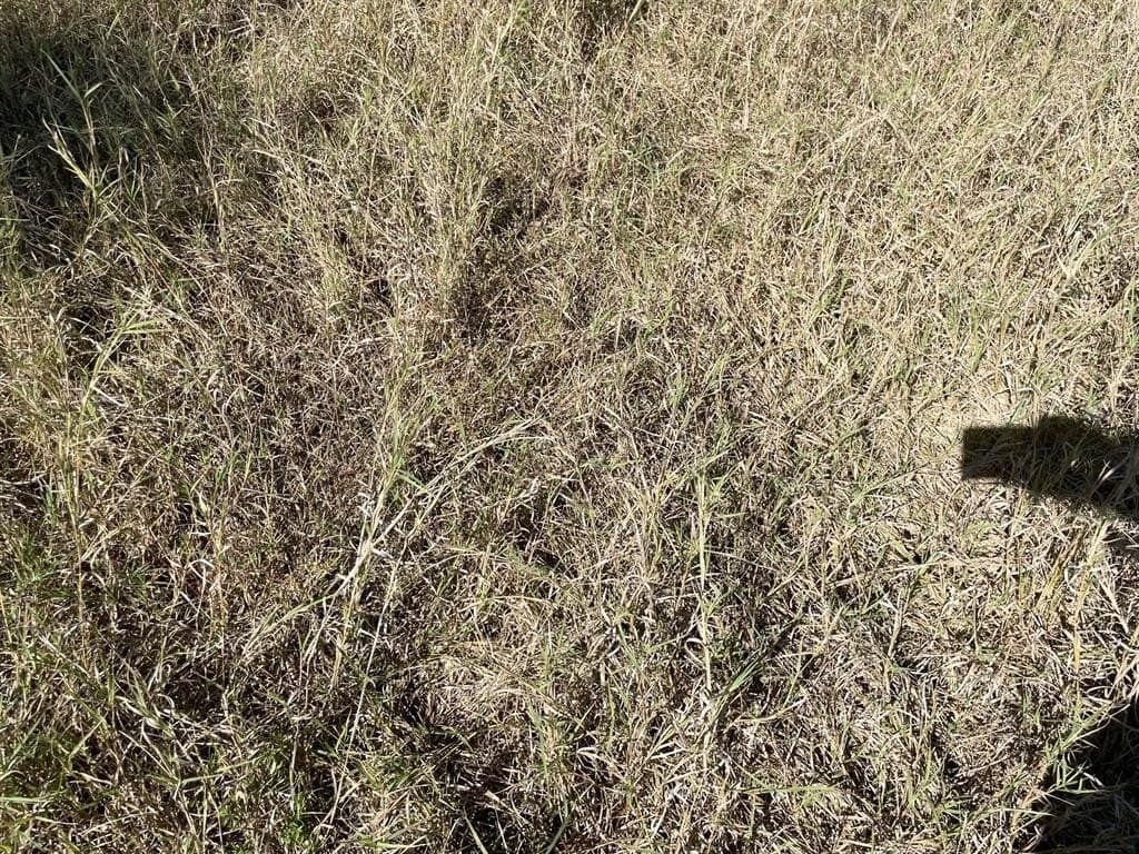 20 acres in Hamilton County - photo 6