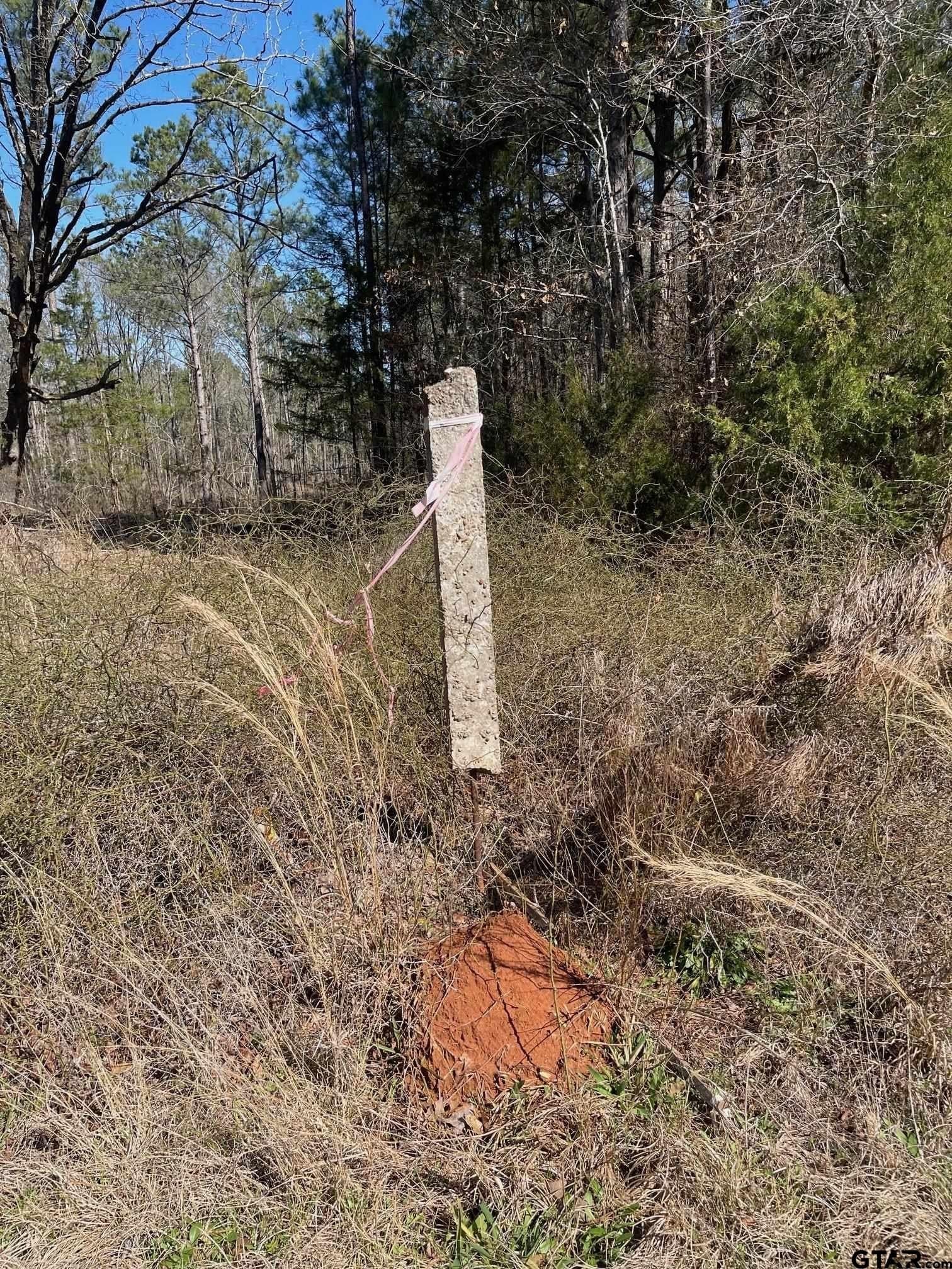 26.99 acres in Smith County - photo 7