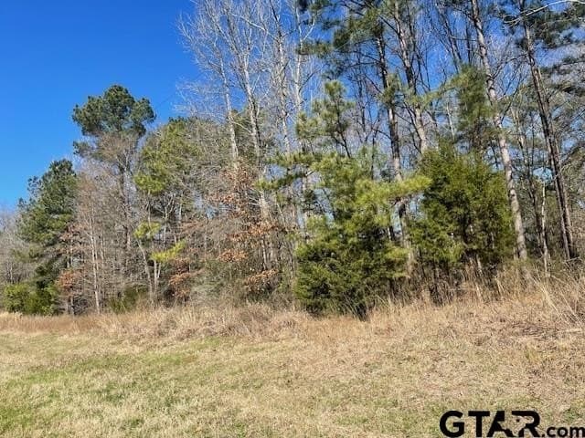 26.99 acres in Smith County - photo 4