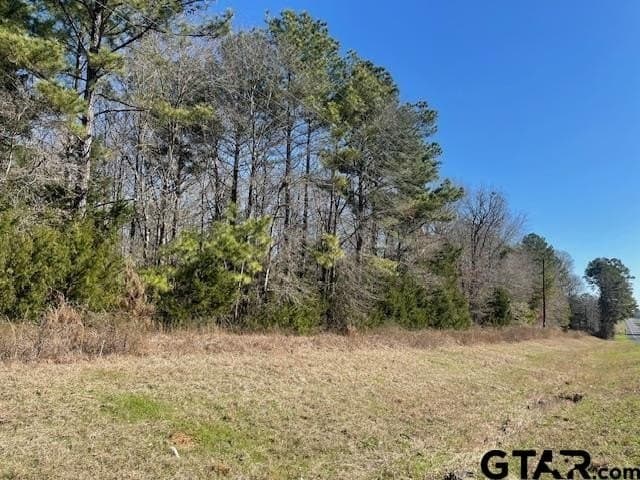 26.99 acres in Smith County - photo 6