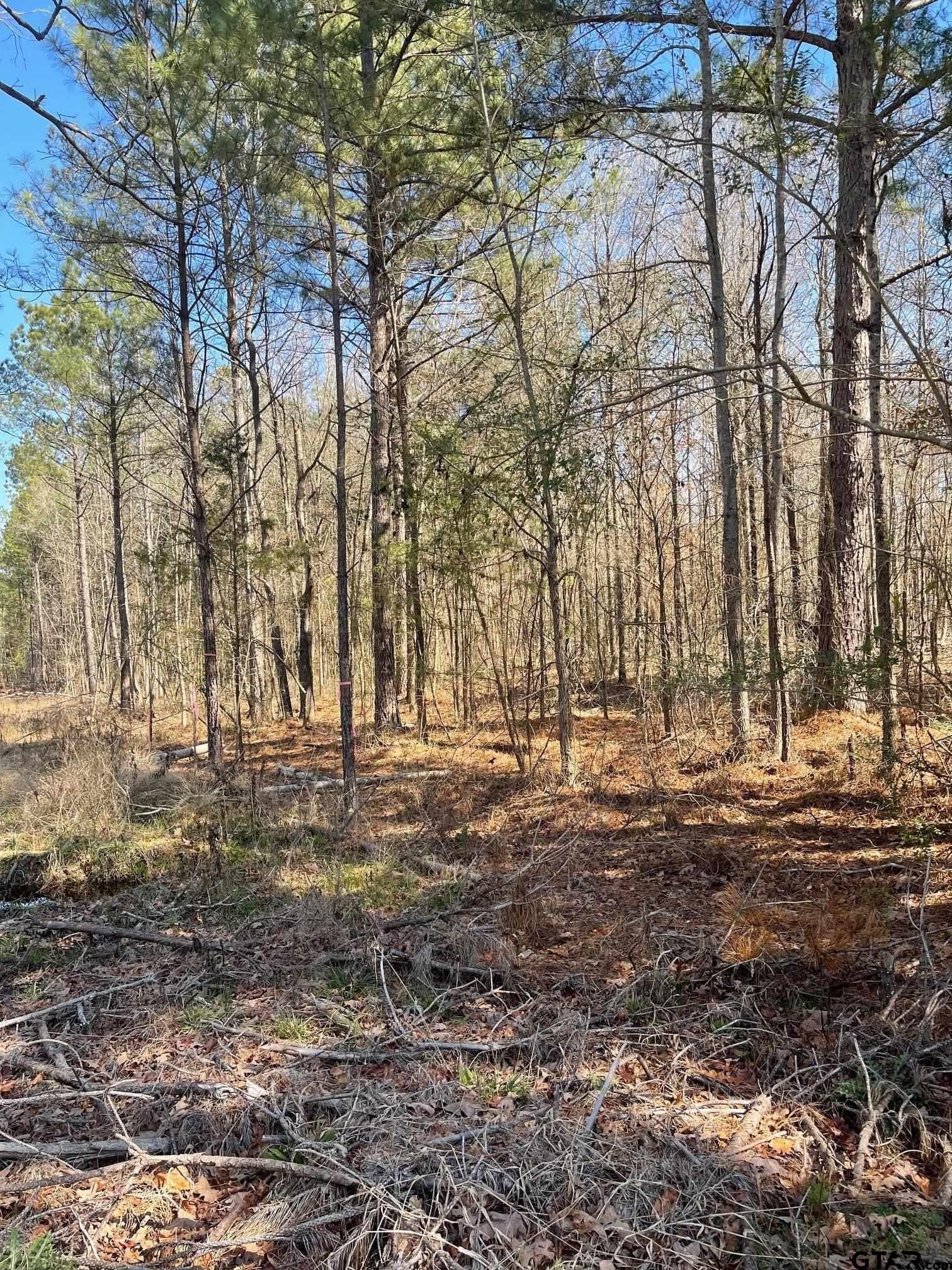 26.99 acres in Smith County - photo 11