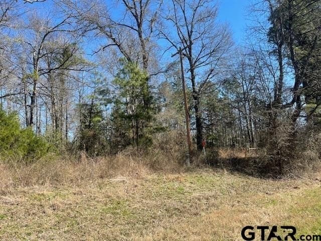 26.99 acres in Smith County - photo 3