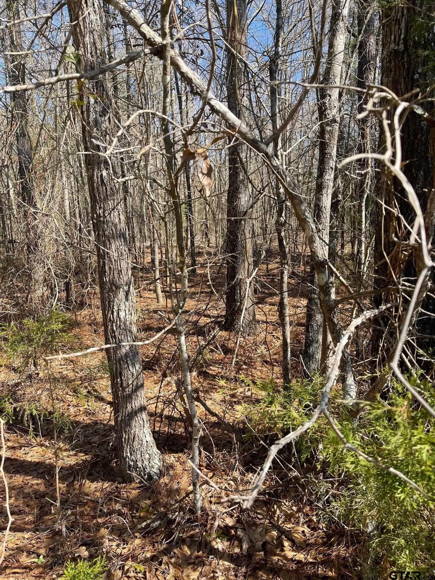 26.99 acres in Smith County - photo 9
