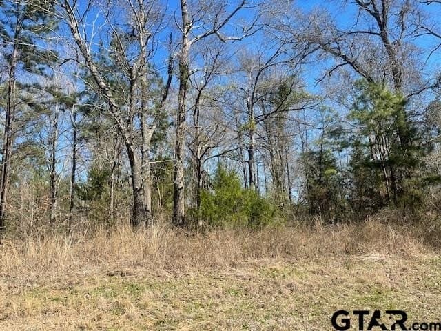 26.99 acres in Smith County - photo 2
