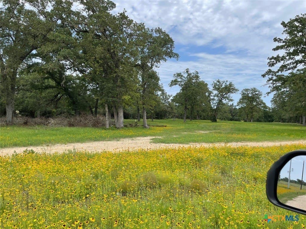 10 acres in Lee County - photo 11