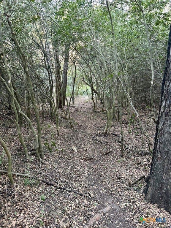 10 acres in Lee County - photo 9