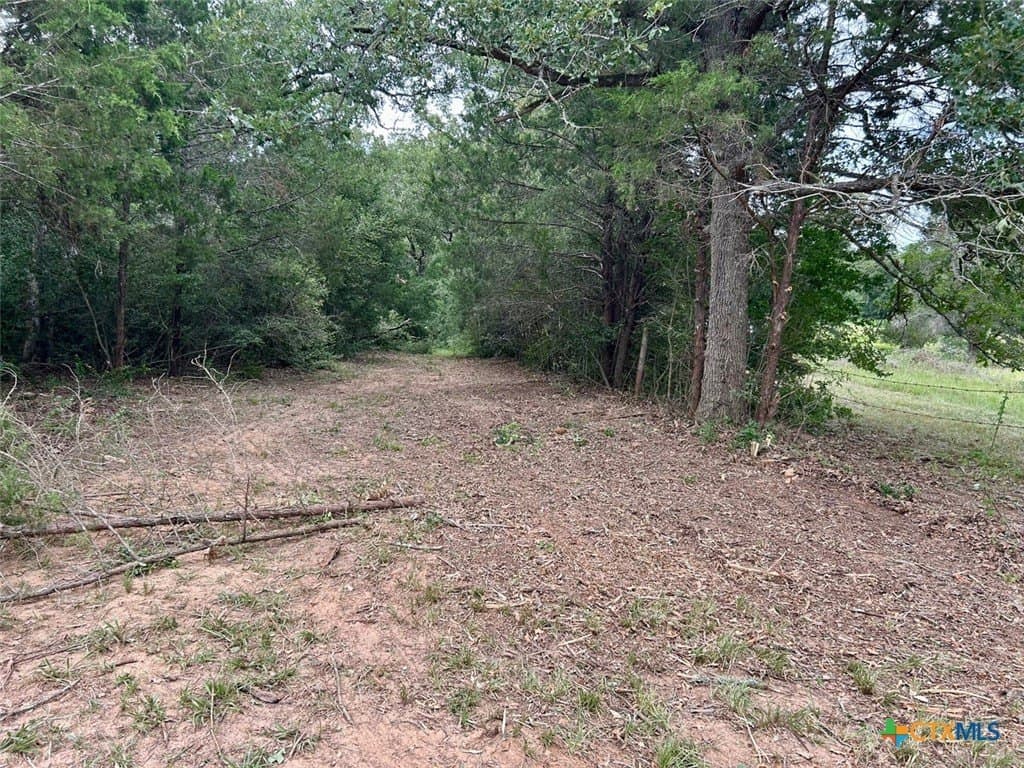 10 acres in Lee County - photo 8