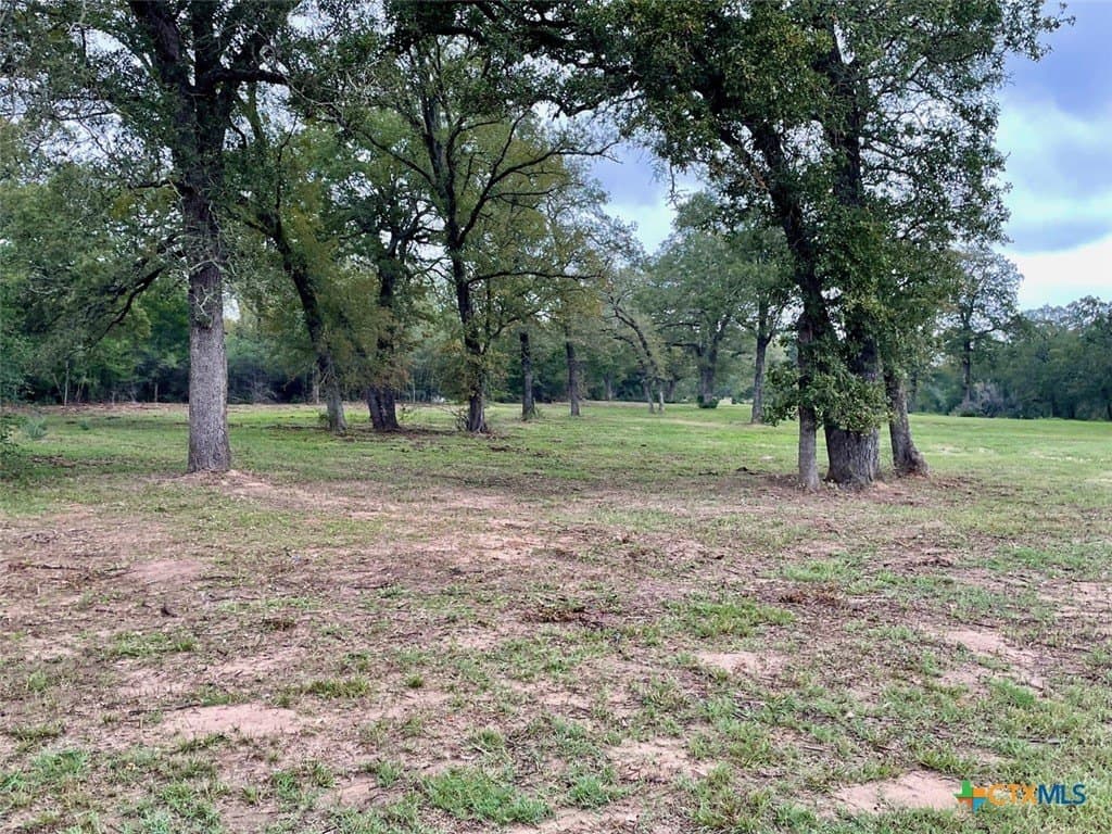 10 acres in Lee County - photo 24