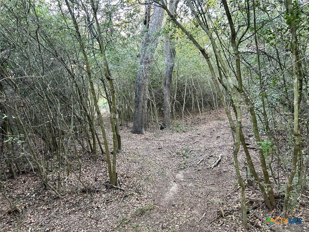 10 acres in Lee County - photo 10