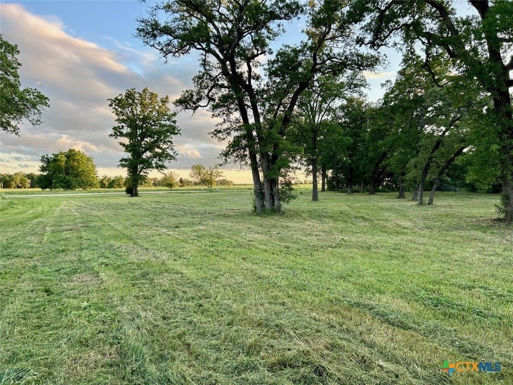 10 acres in Lee County - photo 6