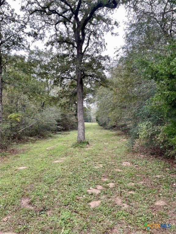 10 acres in Lee County - photo 19