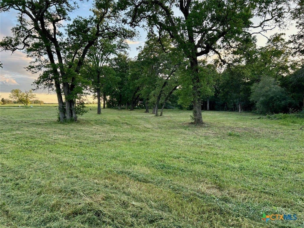 10 acres in Lee County - photo 7