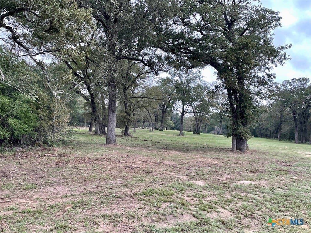 10 acres in Lee County - photo 23