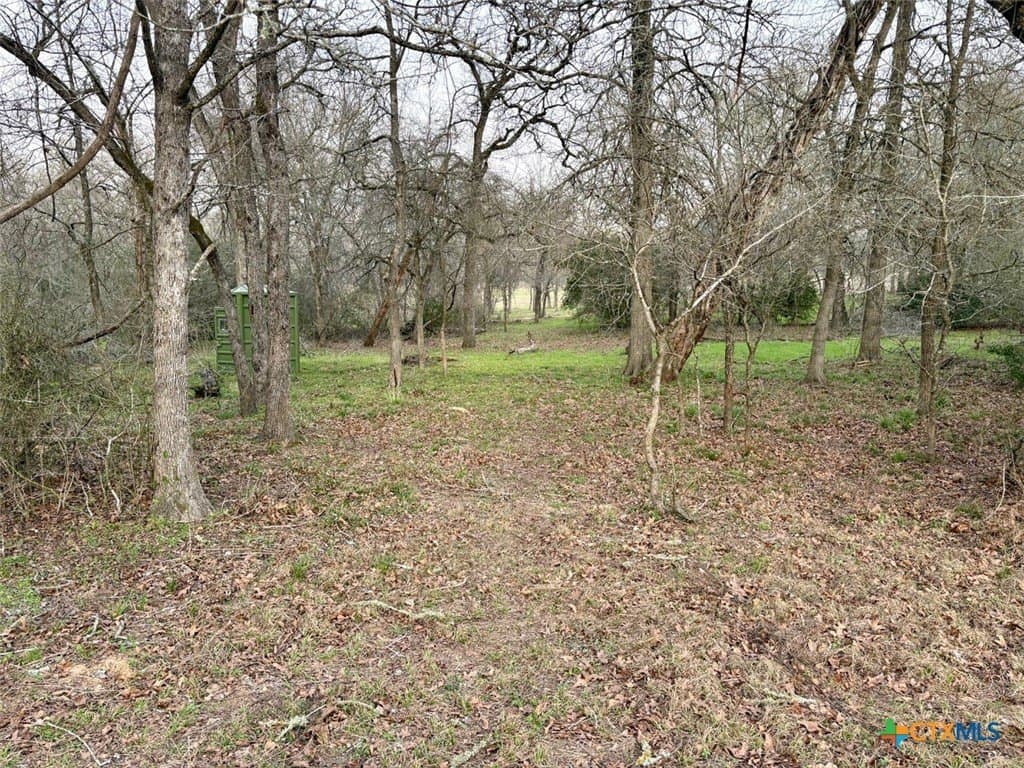 10 acres in Lee County - photo 16