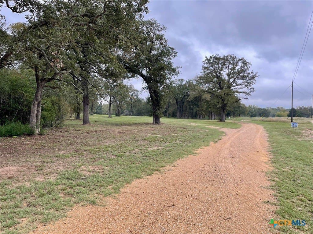 10 acres in Lee County - photo 5