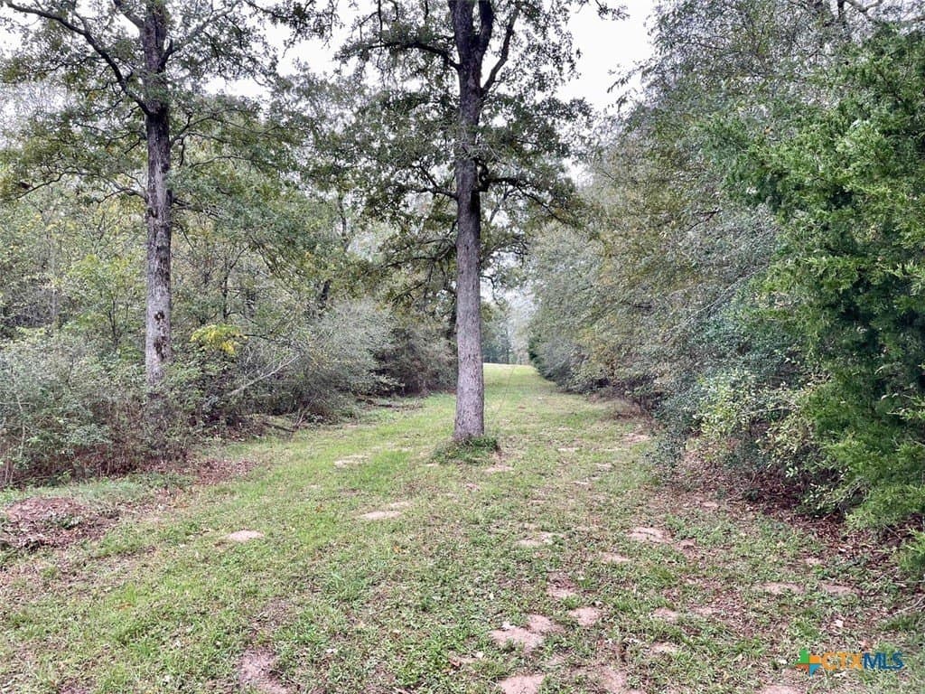 10 acres in Lee County - photo 20