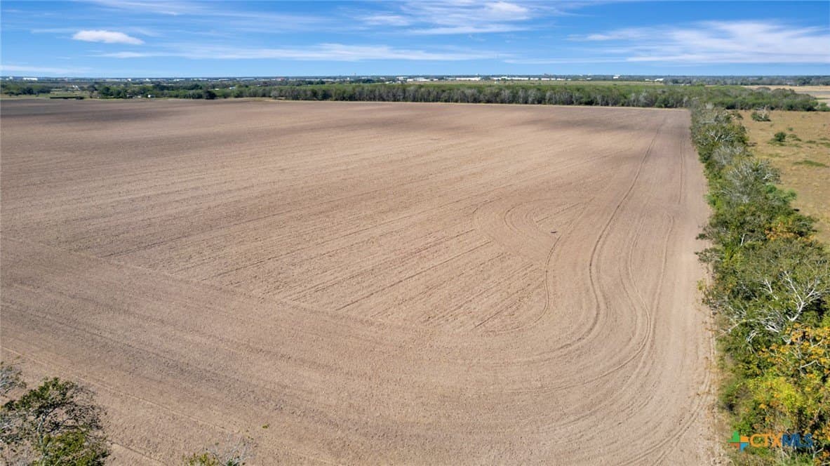 57.54 acres in Victoria County - photo 8