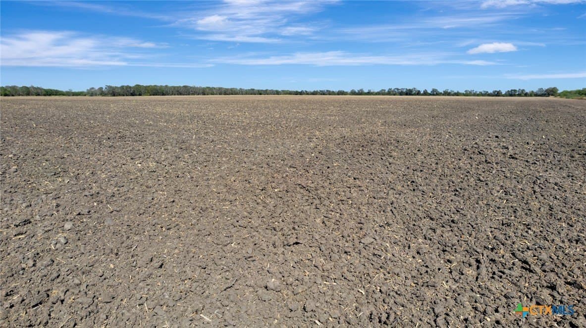 57.54 acres in Victoria County - photo 9