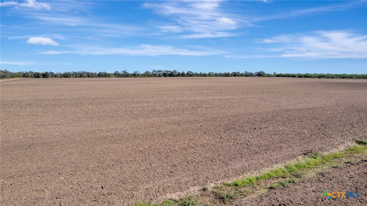 57.54 acres in Victoria County - photo 10