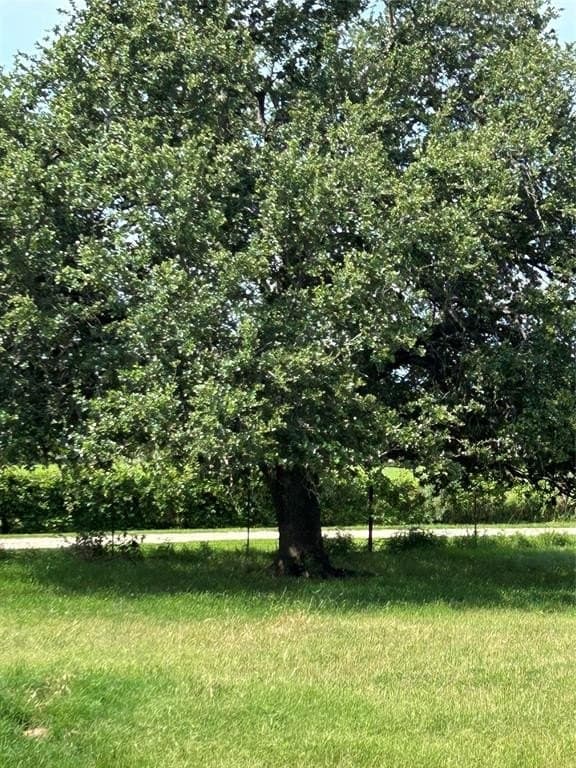 10 acres in Hamilton County - photo 34