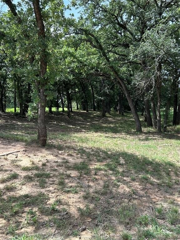 10 acres in Hamilton County - photo 33