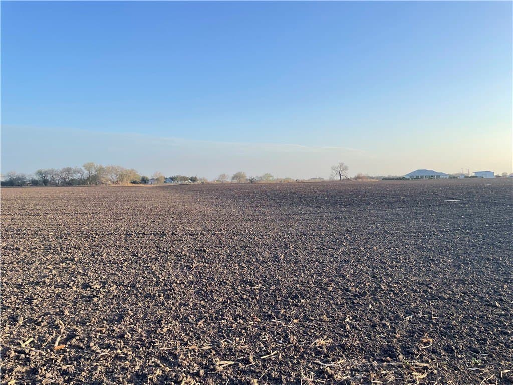 2.5 acres in San Patricio County - photo 3