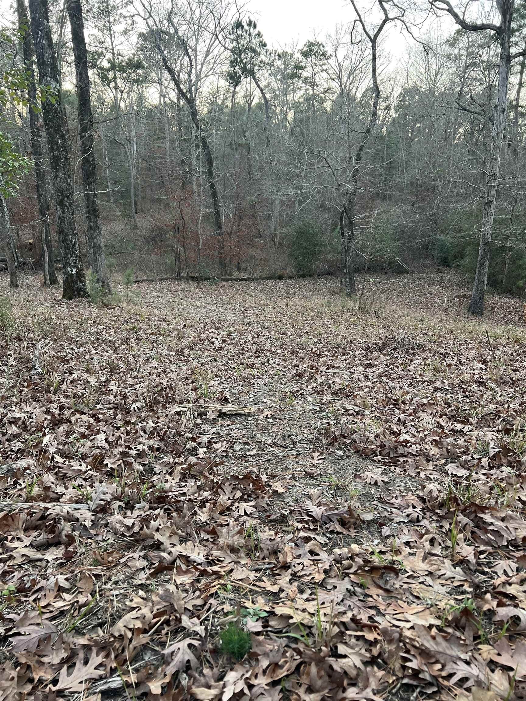 8.99 acres in Texas County - photo 12
