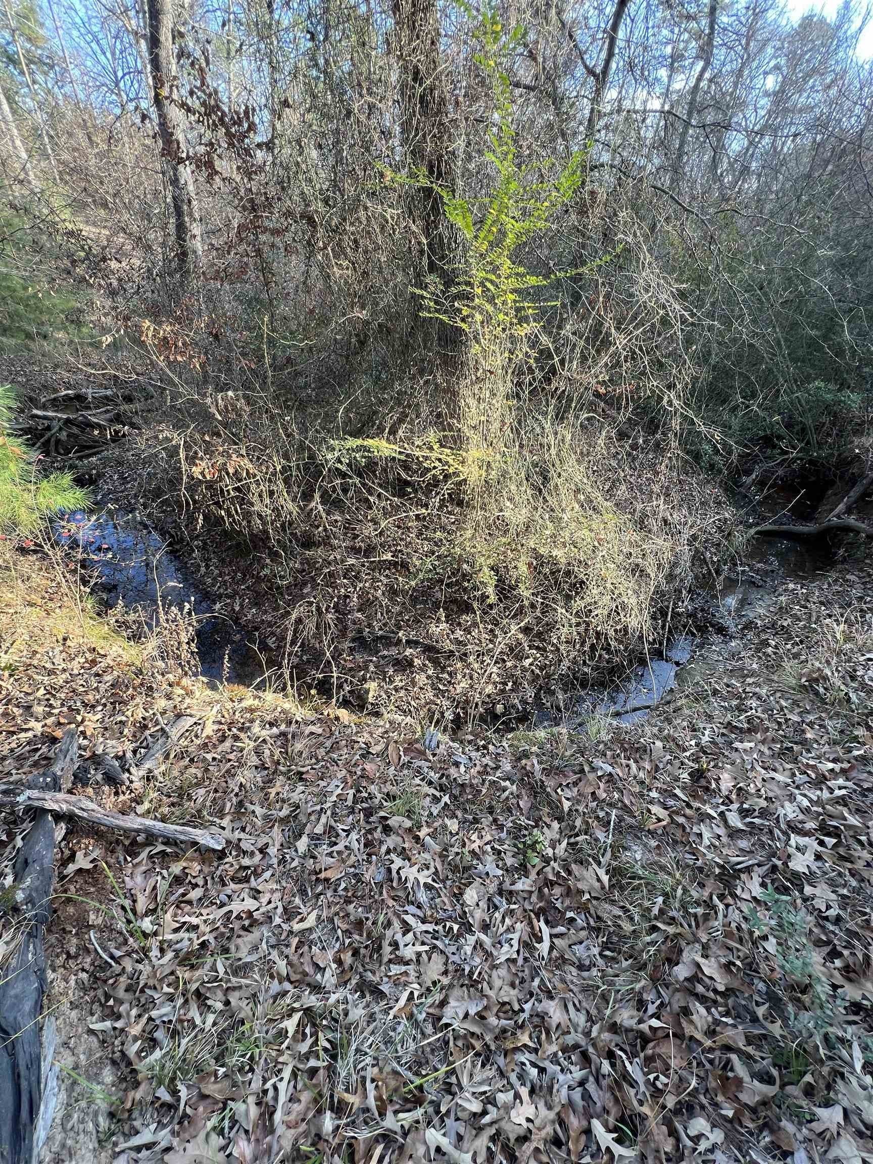 8.99 acres in Texas County - photo 9