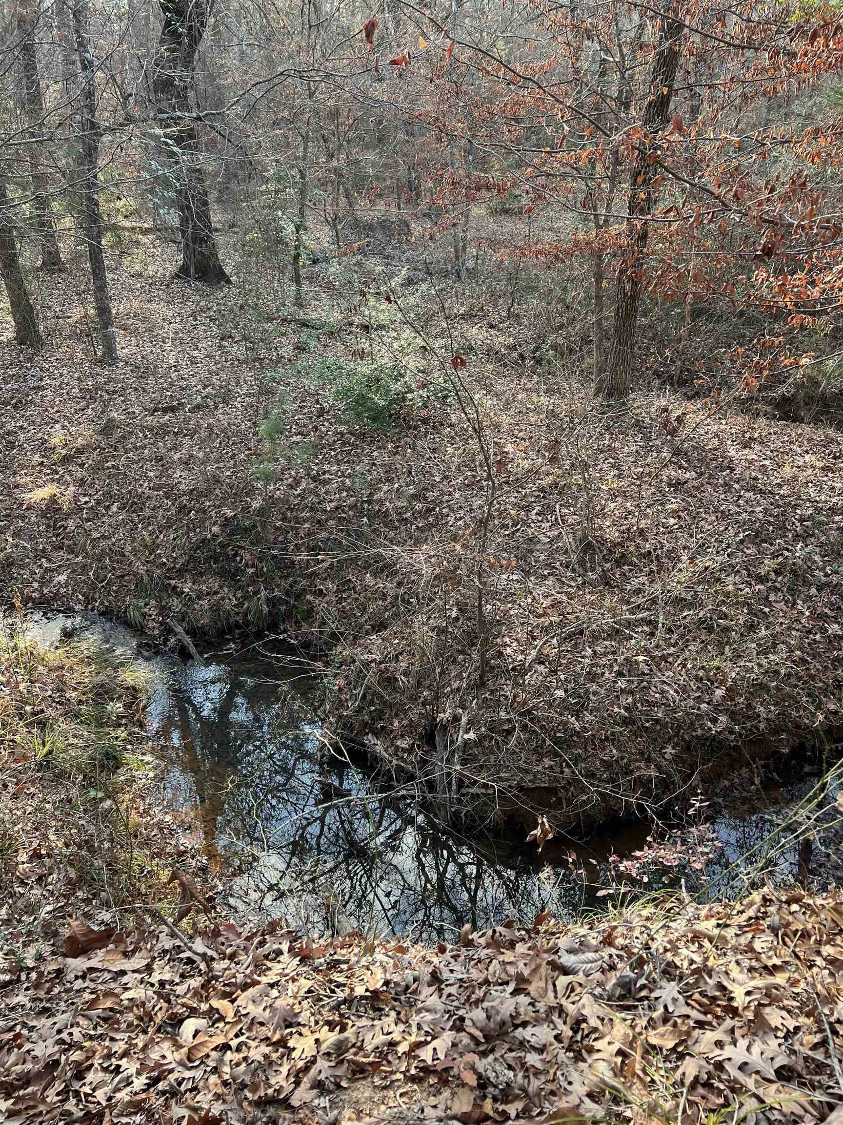 8.99 acres in Texas County - photo 10