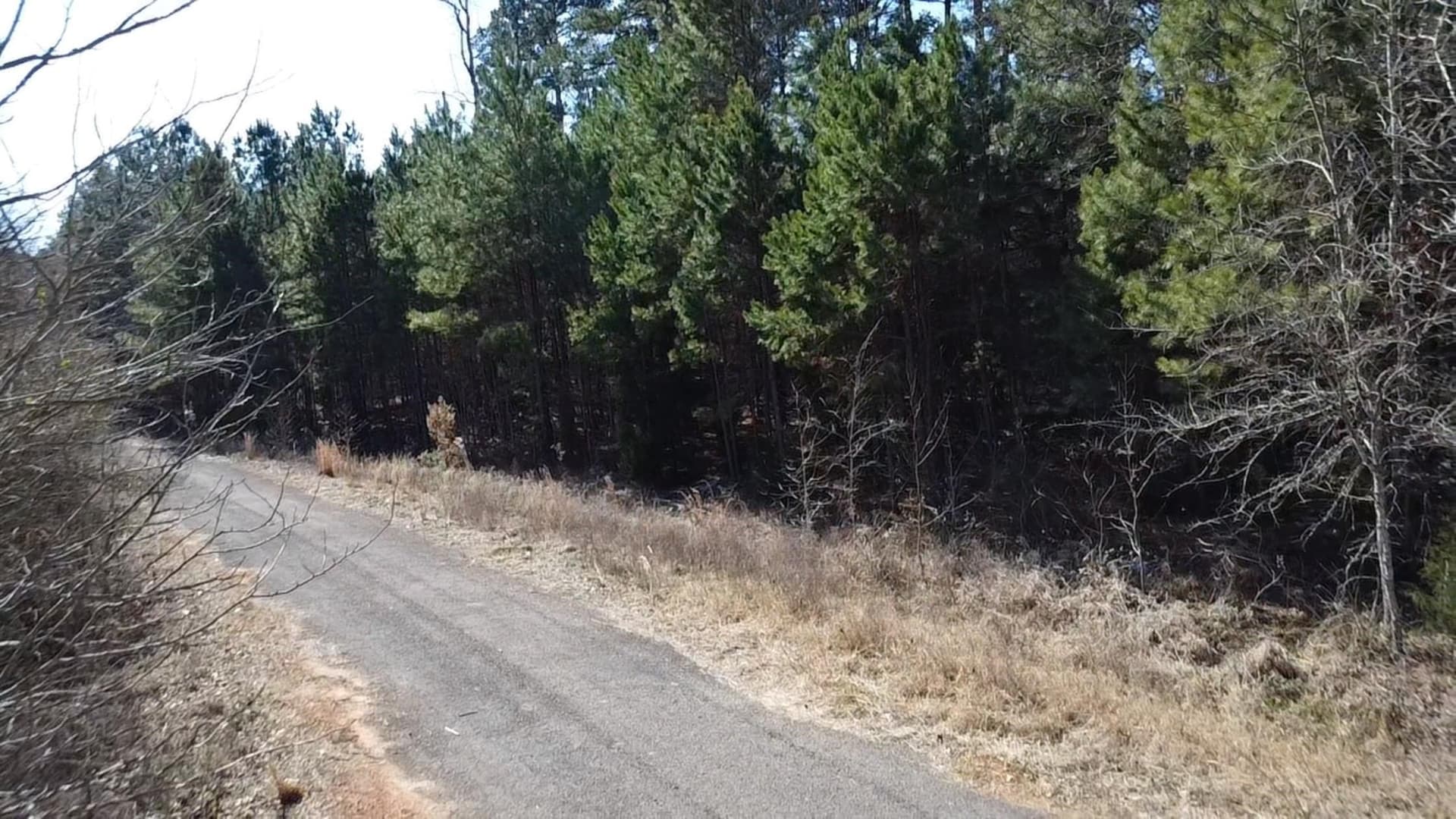 8.99 acres in Texas County - photo 5