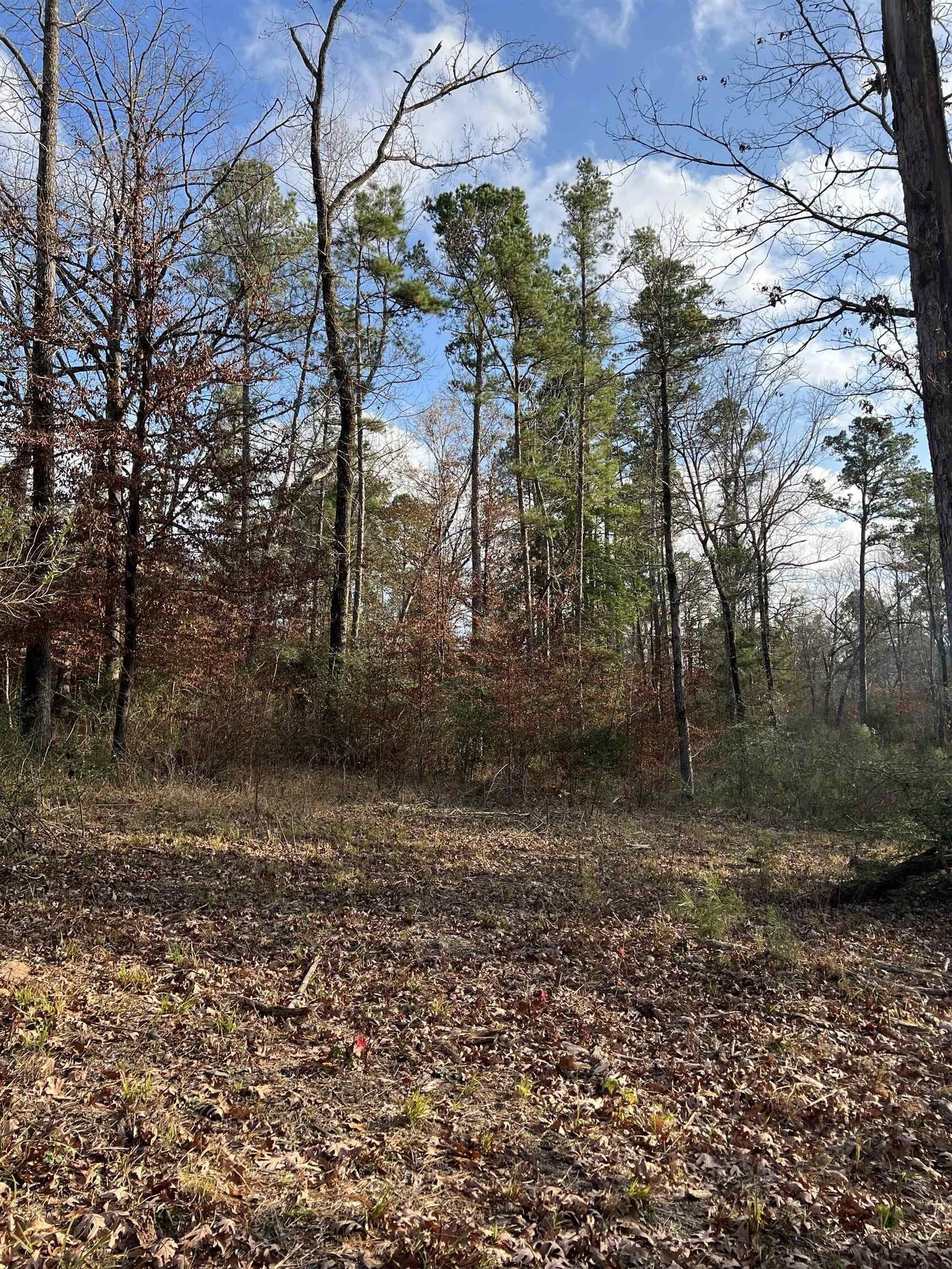8.99 acres in Texas County - photo 11
