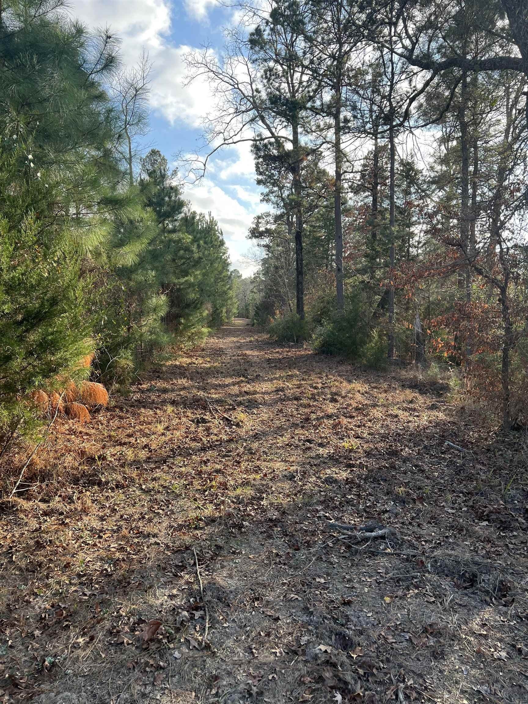 8.99 acres in Texas County - photo 8