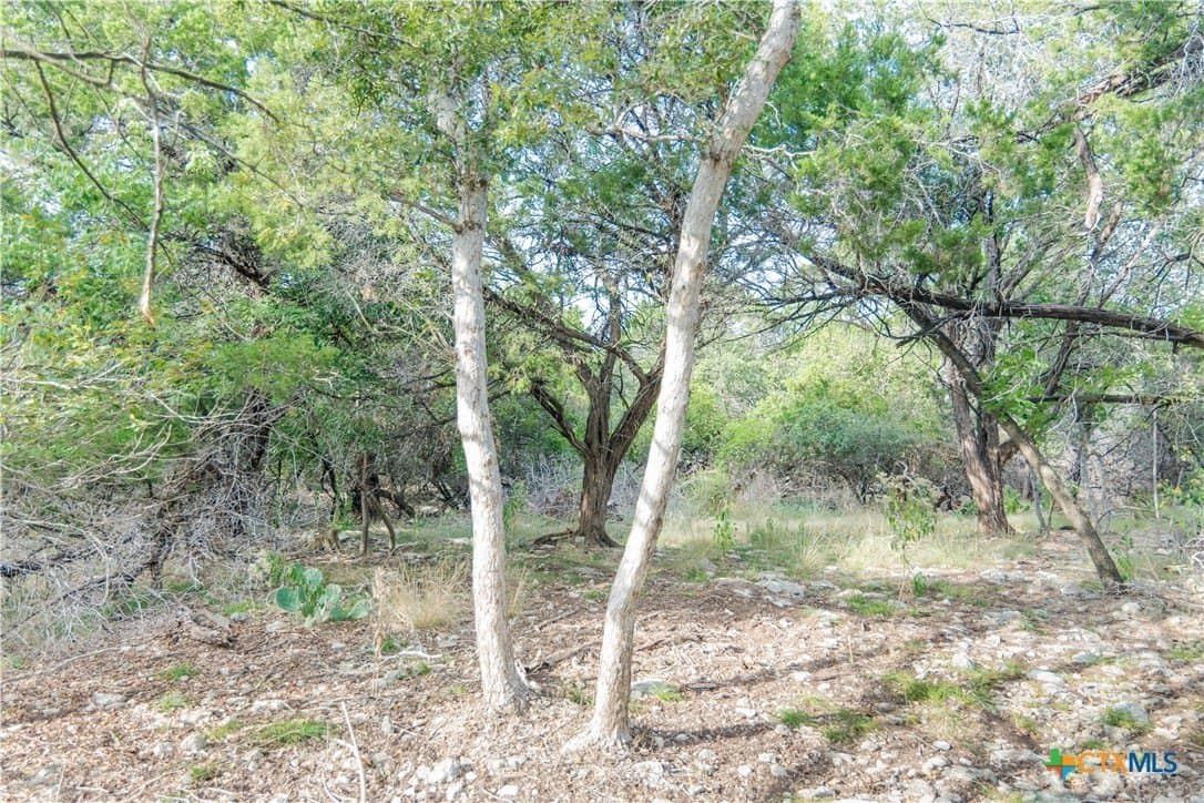 0.63 acres in Bell County - photo 6