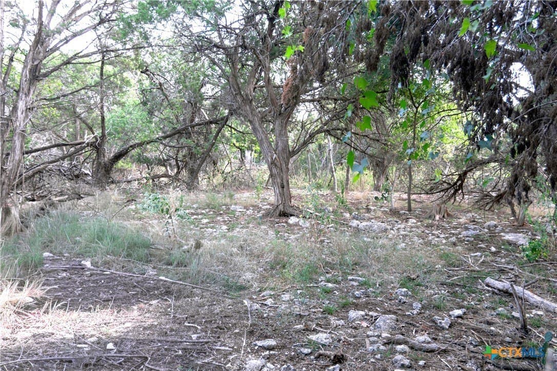0.63 acres in Bell County - photo 4
