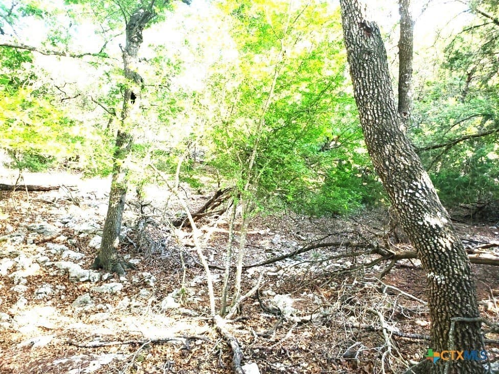 0.63 acres in Bell County - photo 14