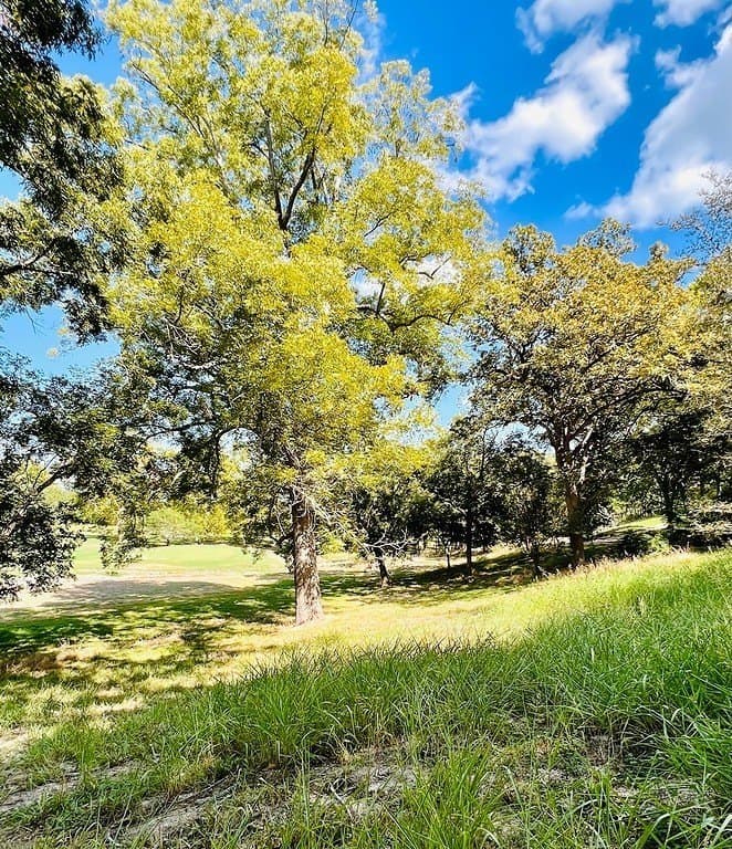 0.2 acres in Fayette County - photo 4
