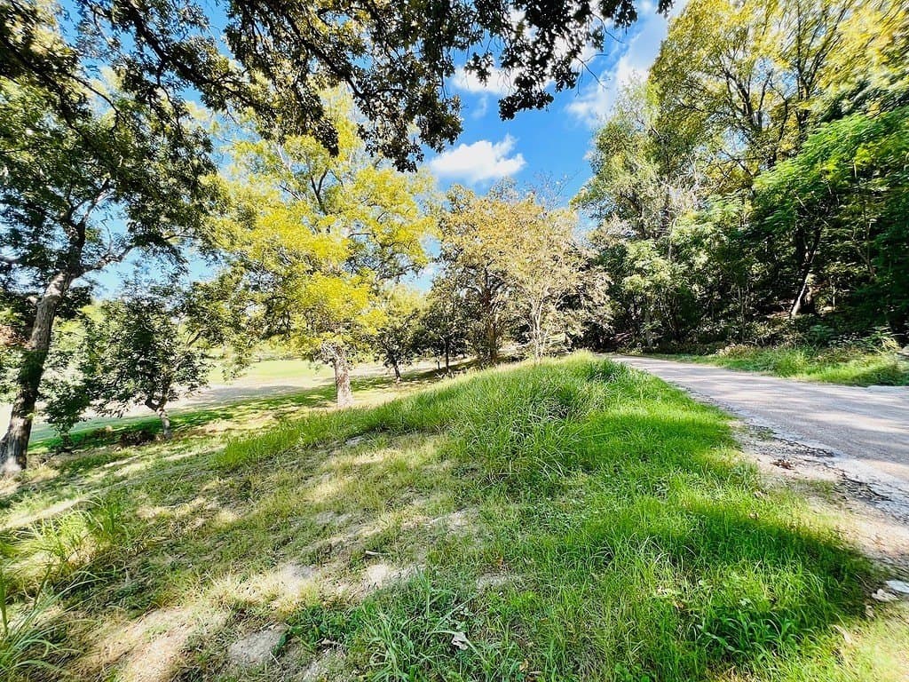 0.2 acres in Fayette County - photo 3