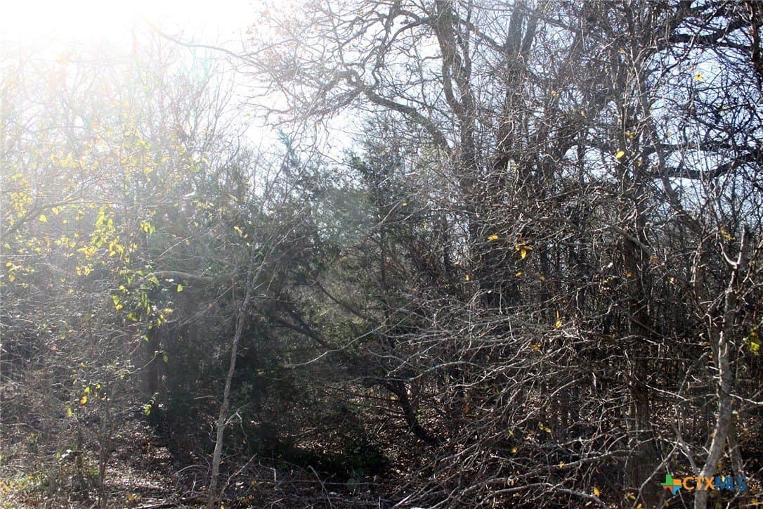 1.82 acres in Caldwell County - photo 6