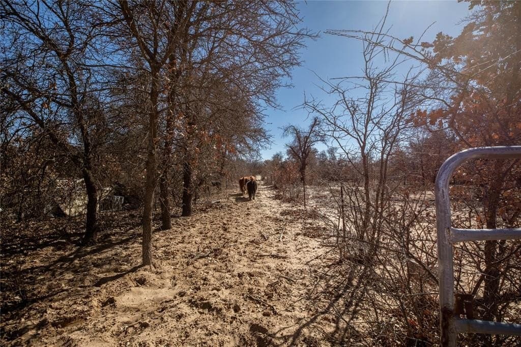19 acres in Jones County - photo 39