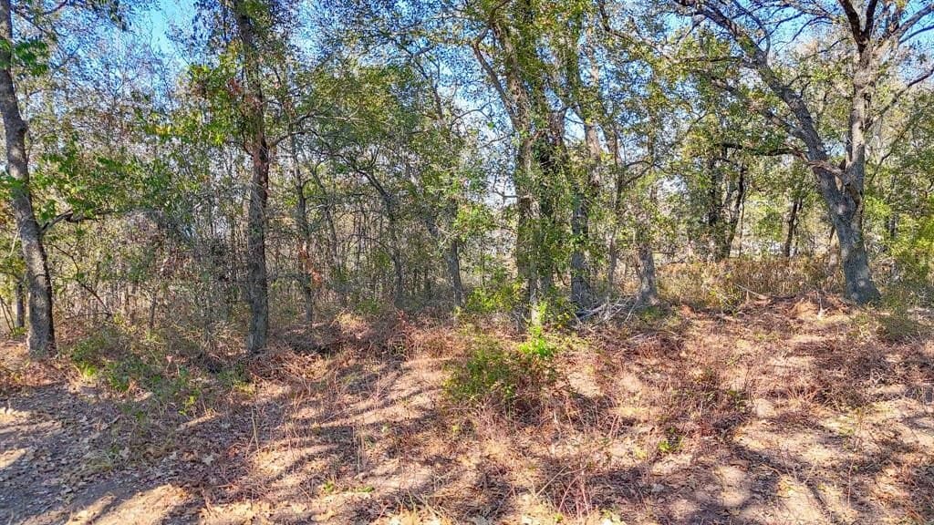 1.27 acres in Navarro County - photo 12