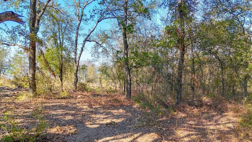 1.27 acres in Navarro County - photo 14