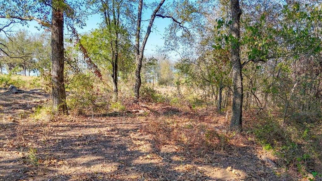 1.27 acres in Navarro County - photo 15