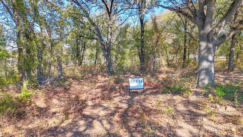 1.27 acres in Navarro County - photo 11