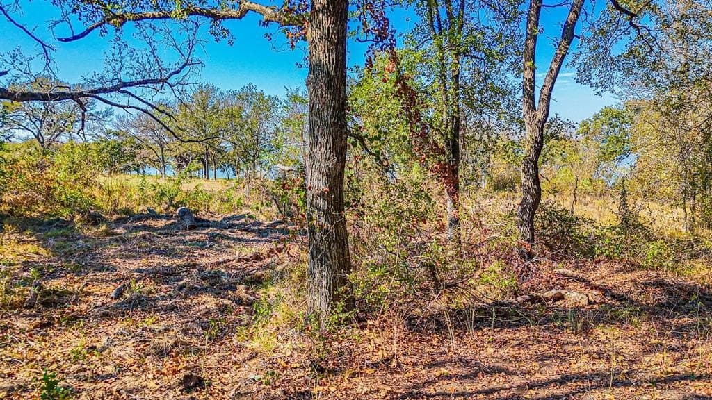 1.27 acres in Navarro County - photo 16