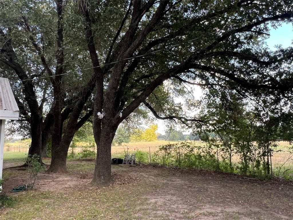 20 acres in Limestone County - photo 17