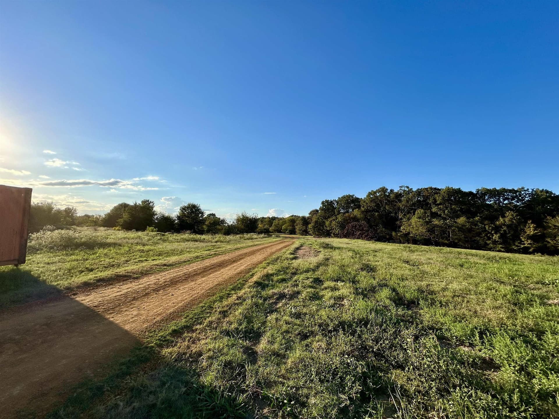 10.09 acres in Titus County - photo 4