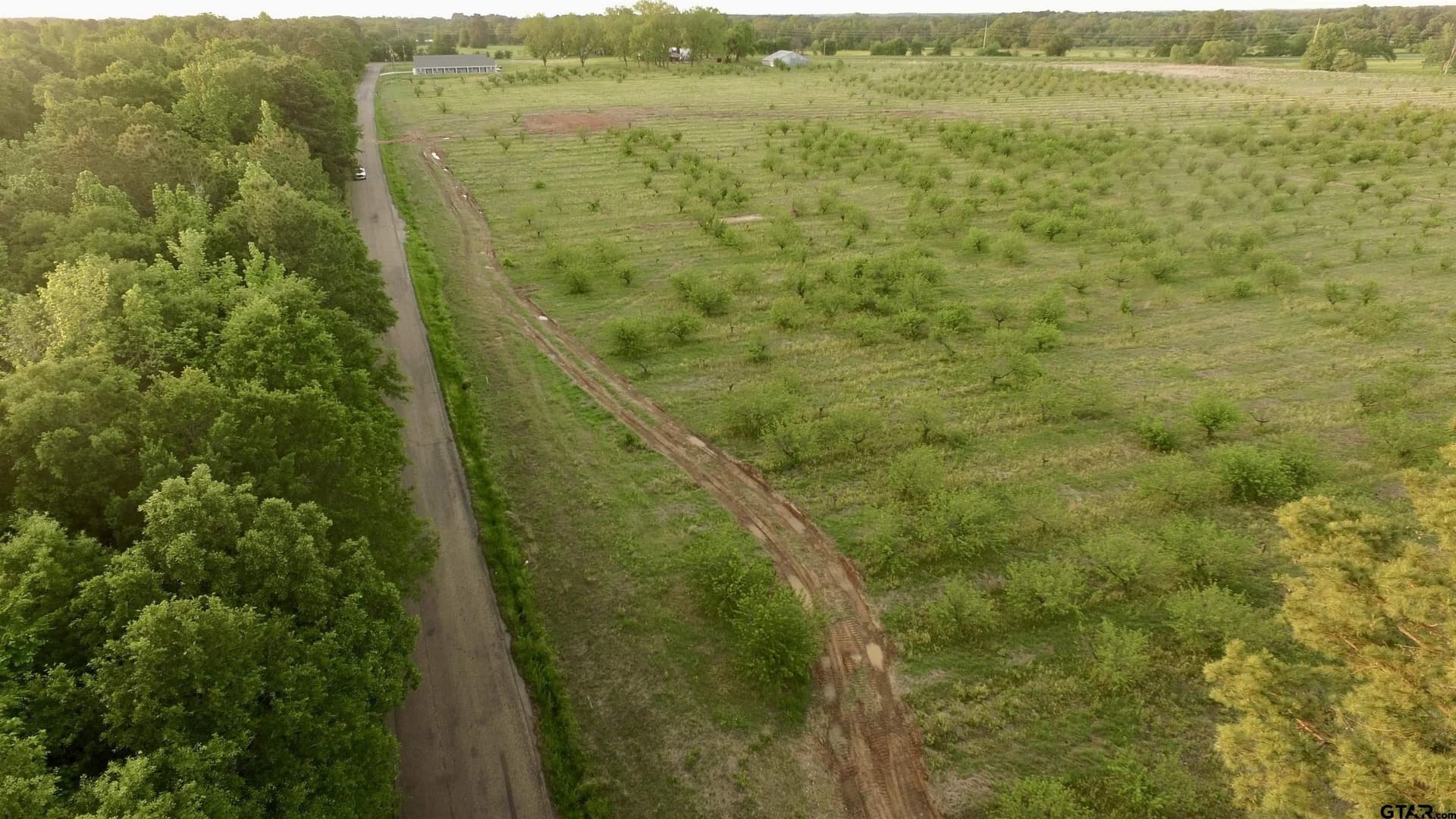 10.09 acres in Titus County - photo 9